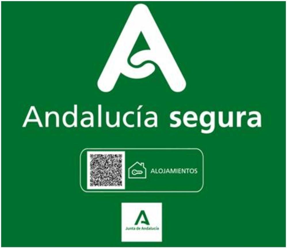 Todosierranevada Zona Baja - Edificio Atlas - Vistas A La Montana - Junto A Los Telecabinas Sierra Nevada Esterno foto